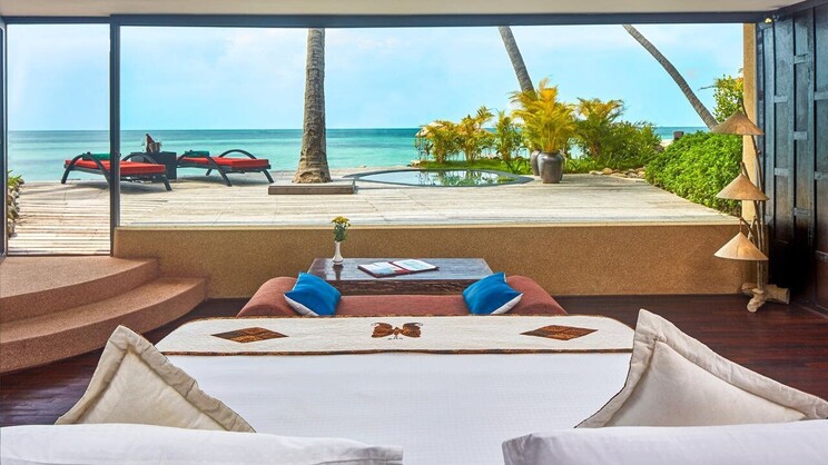 Kupu Kupu Phangan ( Koh Phangan )